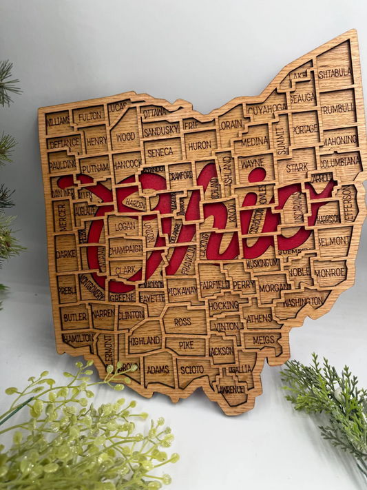 Ohio county map wood wall art with engraved counties